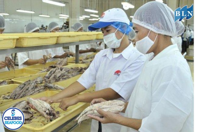 Risk Management and Insurance in Industrial Fisheries Business